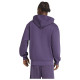 Adidas Ανδρικό φούτερ Essentials Big Logo Fleece Hoodie